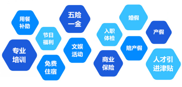 提供全面、系統(tǒng)、專業(yè)的培訓和廣闊的<br>職業(yè)發(fā)展空間和提升機會
